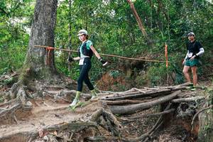 BIB: 
                            <button type="button" onclick="openModal(27724015)" class="btn btn-primary btn-sm float-right btn-popup" data-toggle="modal" data-target=".modal-high-quality">
                        <i class="fas fa-shopping-cart"></i> Add to Cart
                    </button>
                                            <button type="button" onclick="isThisMe(27724015, true)" class="btn btn-success btn-sm float-right btn-popup btn-isme hidden" data-toggle="tooltip" data-placement="bottom" title="นี่คือรูปของคุณใช่ไหม คลิกที่นี่เพื่อเอาเข้าอัลบั้ม">
                        <i class="fas fa-plus"></i> Add to album
                    </button>
                    <button type="button" onclick="isThisMe(27724015, false)" class="btn btn-warning btn-sm float-right btn-popup btn-isnotme hidden">
                        <i class="fas fa-ban"></i> Remove from album
                    </button>